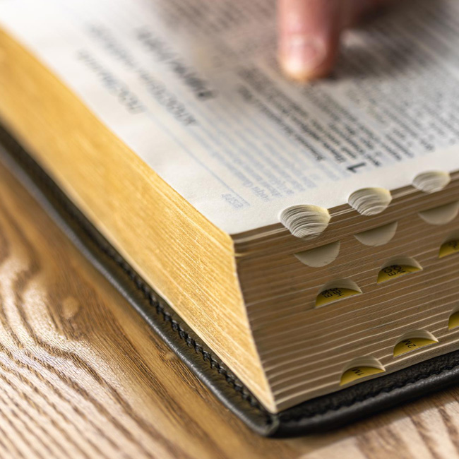 The Purpose of the Passage